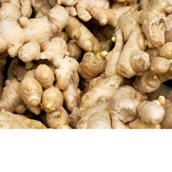 Ginger (50)-1528015-84458.webp